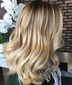 Highlights